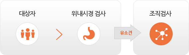 위암검진, 대상자-위내경 검사-조직검사