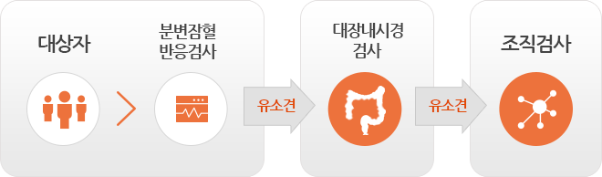 대장암검진, 대상자-분변잠혈반응검사-대장내시경검사-조직검사